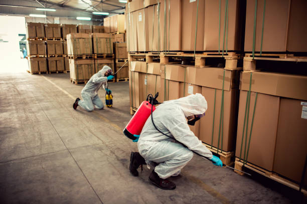Best Exterminator Services  in Baldwin, PA