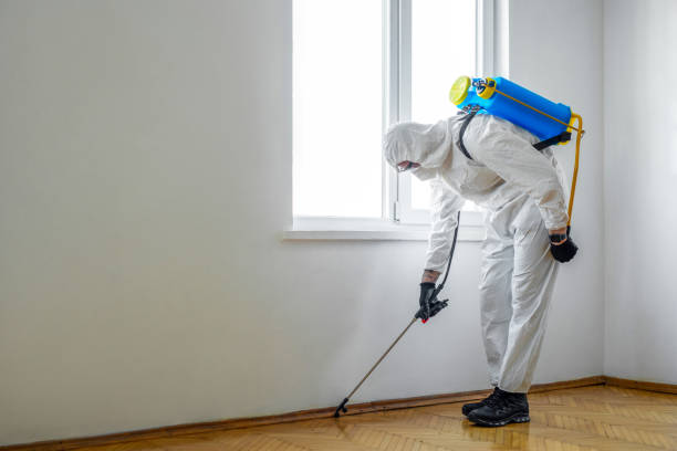 Best Local Pest Control Services  in Baldwin, PA