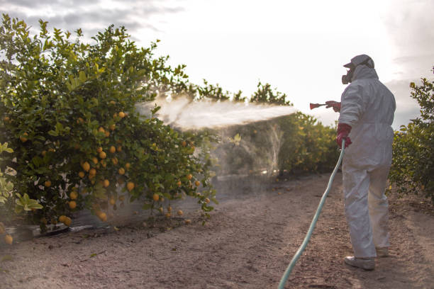 Best Pest Inspection Near Me  in Baldwin, PA