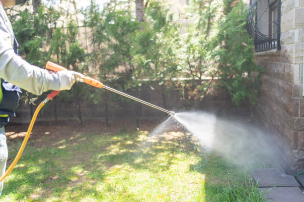 Best Flea Control Services  in Baldwin, PA