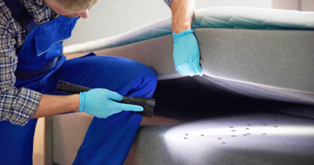 Best Pest Control for Businesses  in Baldwin, PA