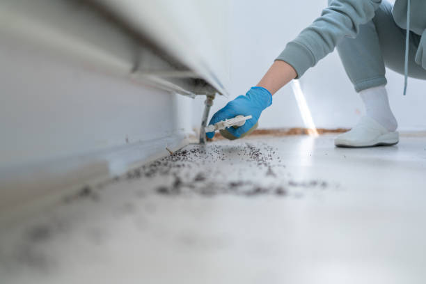 Best Local Pest Control Services  in Baldwin, PA