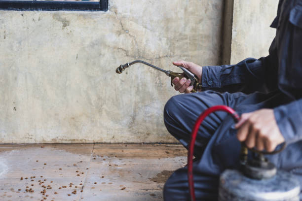 Best Pest Control Cost  in Baldwin, PA